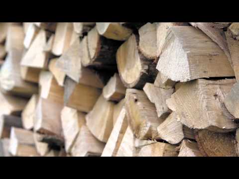 download lagu mp3 mp4 Is Olive Wood Good Firewood, download lagu Is Olive Wood Good Firewood gratis, unduh video klip Is Olive Wood Good Firewood