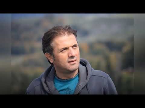 ელია გოგო