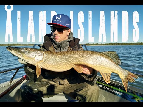 Crazy Pike Fishing at Åland Islands