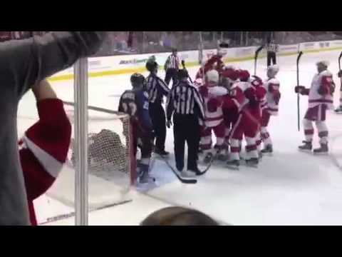 Red Wings vs Avs behind the net - Datsyuk OT Winner