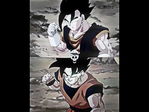Which fusion is best ? Gokhan x Vegito ☠️💀 #vegito #gokhan #dbz #goku #gohan #skulledit