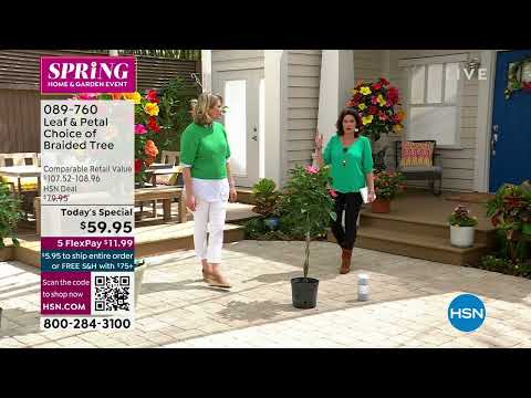 HSN | Ready, Set, Grow! - Leaf & Petal Designs 4th Anniversary 03.17.2023 - 02 PM