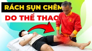 Sports-Related Knee Pain? Beware of Torn Meniscus - Recognition & Recovery | Starsmec Sports Medi...