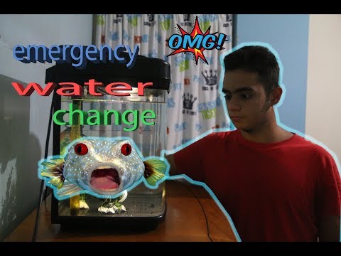 Emergency water change