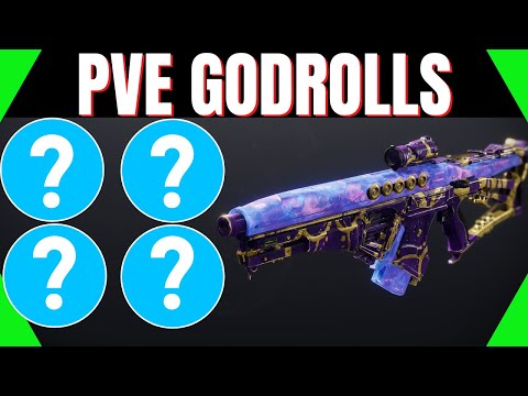 The Perpetualis Strand AUTO RIFLE (PVE GOD ROLL) in 1 minute