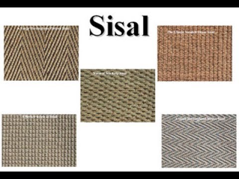 download lagu mp3 mp4 How To Stain A Sisal Rug, download lagu How To Stain A Sisal Rug gratis, unduh video klip How To Stain A Sisal Rug