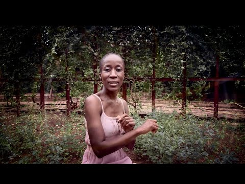 Classica Orchestra Afrobeat ft. ROKIA TRAORE "Ka Munu Munu"