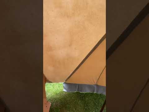 De Waard Vergrote Zilvermeeuw (gn) 060722