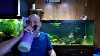 Steve and Dandalf Show