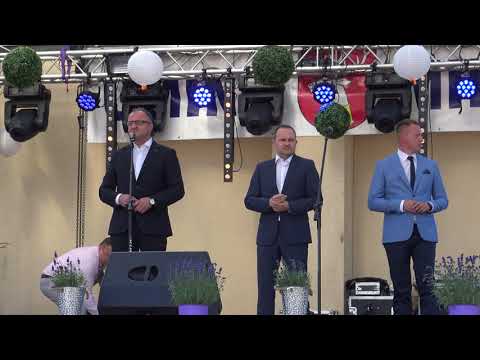 8.07.2018r. Milanów, IV Wojewódzkiego Święta Ziół cz. I