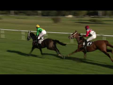 7. dostih - Cena statku Chyše - dostihy Karlovy Vary 20. 9. 2020