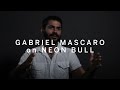GABRIEL MASCARO On Neon Bull TIFF 2016