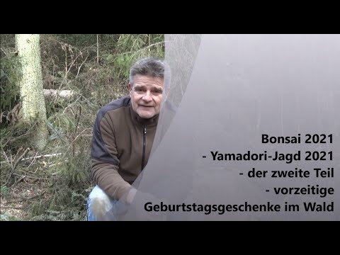 Bonsai 2021-13 - Yamadori Jagd 2021 - der zweite Teil - vorzeitige Geburtstagsgeschenke im Wald