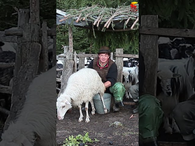 Фото Відео зйомка. Відео монтаж.