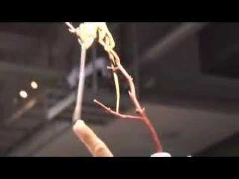 YouTube Video 9eooCHQL9Kw