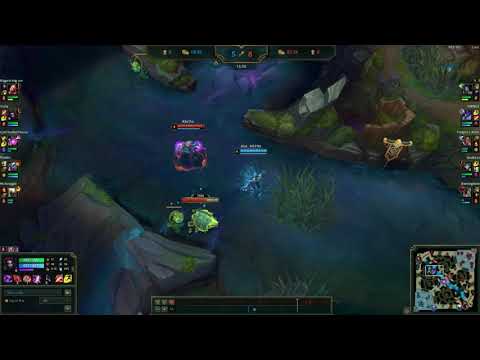 Elise Q Bug