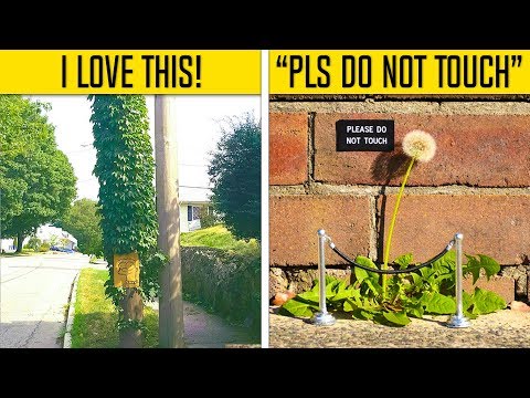 Geniale Vandalismus-Aktionen