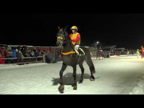 Trabreiten beim Nachtrennen in Kirchberg 2017