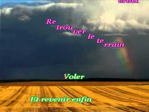 Voler - M.Sardou & C.Dion (chant).mpg