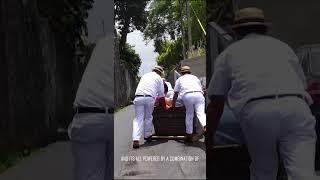Exhilarating Funchal Toboggan - Madeira