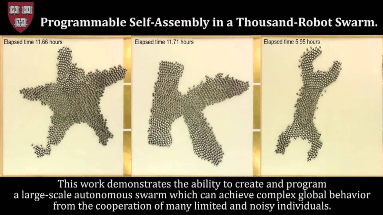 1,000-Strong Robot Collective Can Assemble Itself Into Different Shapes