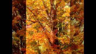 AUTUMN LEAVES / LES FEUILLES MORTES par Le Fier Vagabonheur