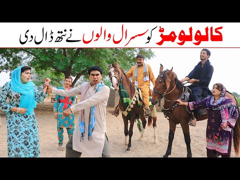 Badmash | Ramzi,Noori, Bilo ,Bhootna,Shoki, Sanam, Falak Sher,Funny Video  Rachnavi Tv