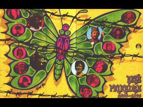 Nada Knežević - Kad dodju svinje