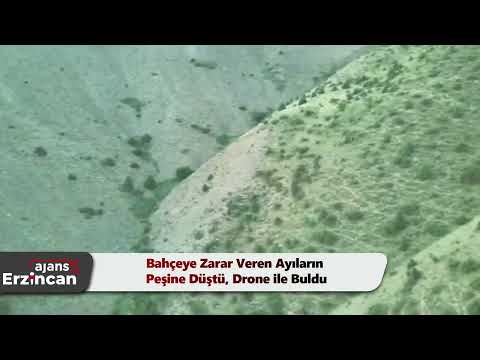 Bahçeye Zarar Veren Ayıların Peşine Düştü, Drone ile Buldu