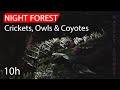 The Ultimate Sleep Experience Nighttime Nature Sounds Crickets Owls Coyotes