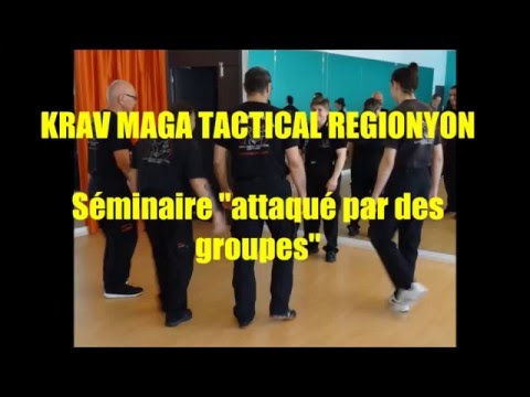 KRAV MAGA TACTICAL, ATMA RégioNyon - séminaire "attaques de groupes" du 10.05.2015