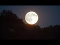 4K FULL MOON VIDEO Free Stock Footage Free HD Video No Copyright