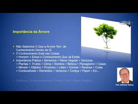 Símbolos Iniciáticos Árvore Aula 1.  Prof Adhemar Ramos.