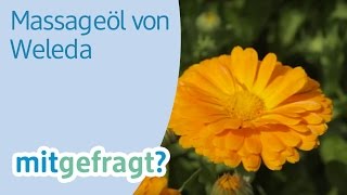 Von der Ringelblume zum Calendula Massageöl: Zu Gast bei Weleda - dm mitgefragt? Folge 9