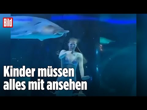 CHINA: Riesiger Fisch attackiert Meerjungfrau