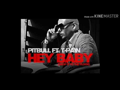 Pitbull and T-Pain -- Song Hey Baby Baby Reverse
