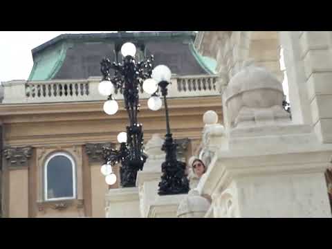 Falcon of the Buda Castle