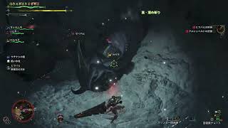 ふぁんたびモンハン部活録part3
