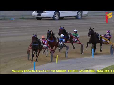 V Corsa del 28 settembre 2022 - 3 Anni - Metri 1600 - Gara centrale