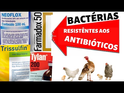 , title : '"ANTIBIÓTICOS" na criação de GALINHA - Resistência bacteriana'