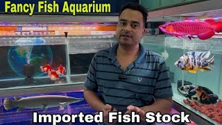 New Imported Fish Stock | All India Delivery @fancyfishaquariums6875 