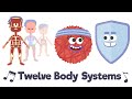 Twelve Body Systems Song