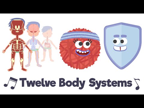 Twelve Body Systems Song