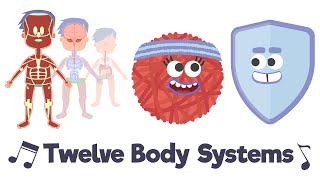 Twelve Body Systems Song