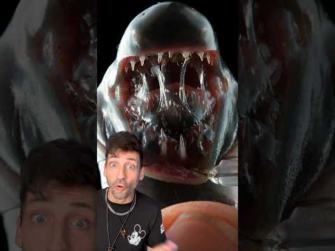 Meet the Caecilian 👀 #caecilian #animals