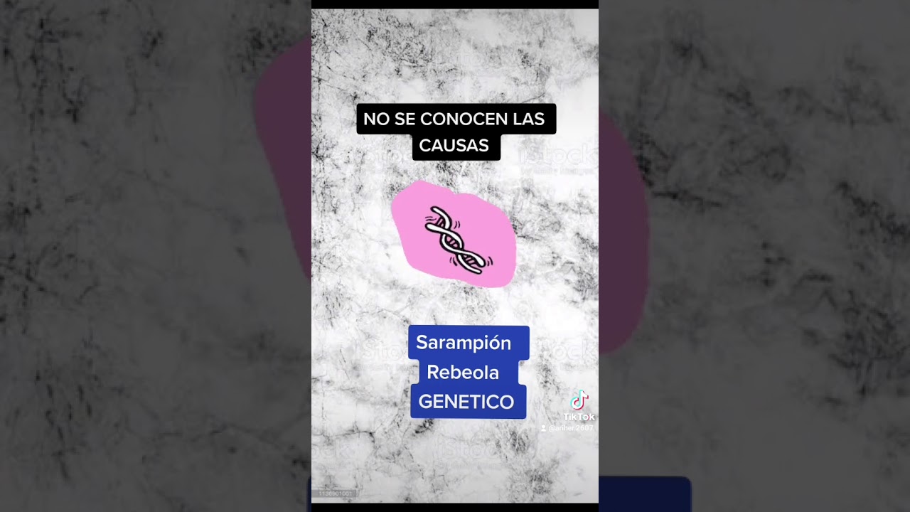 María Andrea Sánchez García-17