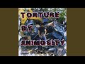 Intro (Torture)