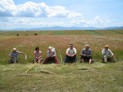 Amintiri cu oameni dragi   Subcetate 2004