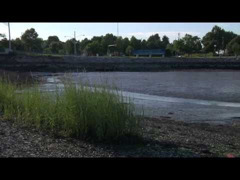 The History and Development of Savin Hill Cove