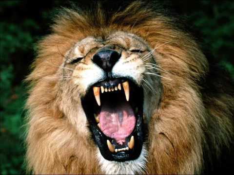 Tiro Por La Culata - Luis Eduardo Aute